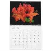 Kalender voor geteelde graan (Mar 2027)