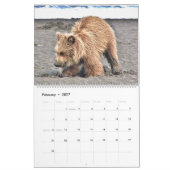 Kalender voor grizzly beer cubs (Feb 2027)