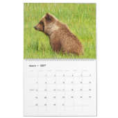 Kalender voor grizzly beer cubs (Mar 2027)