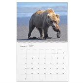 Kalender voor grizzly beer cubs (Jan 2027)