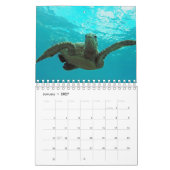 Kalender voor Hawaii Turtles (Jan 2027)