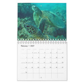 Kalender voor Hawaii Turtles (Feb 2027)