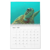 Kalender voor Hawaii Turtles (Mar 2027)
