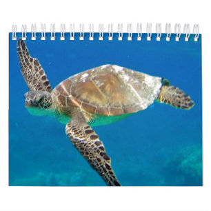 Kalender voor Hawaii Turtles