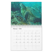 Kalender voor Hawaii Turtles (Feb 2026)