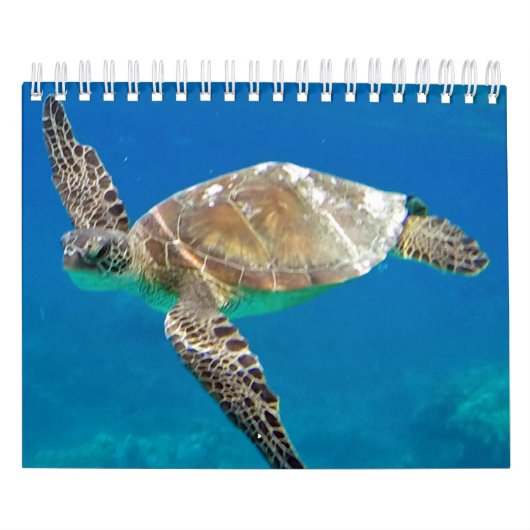 Kalender voor Hawaii Turtles (Hoes)