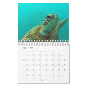 Kalender voor Hawaii Turtles (Mar 2026)