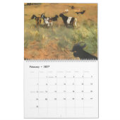 Kalender voor het platteland 2023 (Feb 2027)