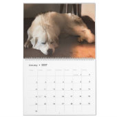 Kalender voor het platteland 2023 (Jan 2027)