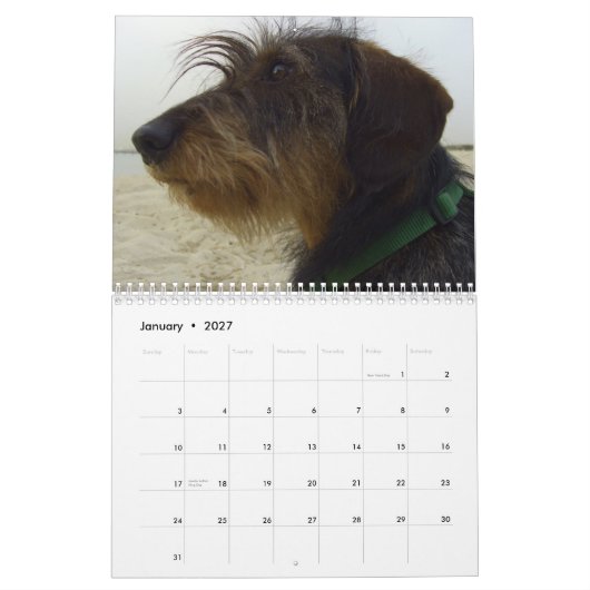 Kalender voor honden voor 2010 (Jan 2027)