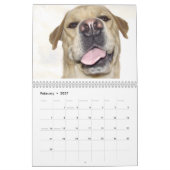 Kalender voor honden voor 2010 (Feb 2027)