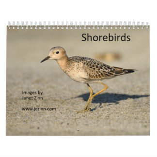 Kalender voor hoornvogels