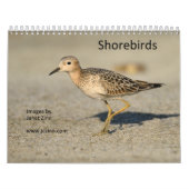Kalender voor hoornvogels (Hoes)