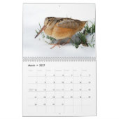 Kalender voor hoornvogels (Mar 2027)