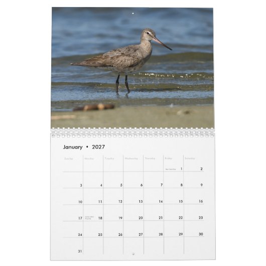 Kalender voor hoornvogels (Jan 2027)