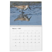 Kalender voor hoornvogels (Feb 2027)