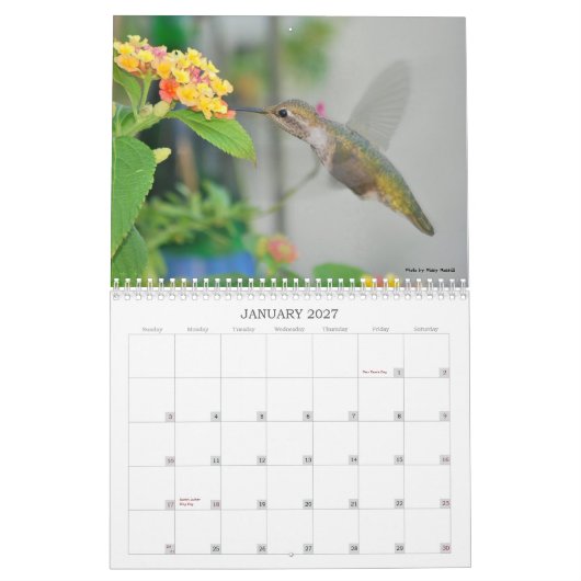 Kalender voor Hummingbird 2013 (Jan 2027)