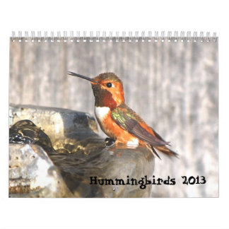 Kalender voor Hummingbird 2013