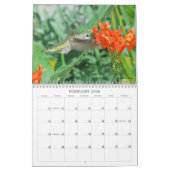 Kalender voor Hummingbird 2013 (Feb 2026)