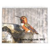 Kalender voor Hummingbird 2013 (Hoes)