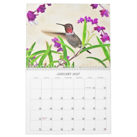 Kalender voor Hummingbird 2014 (Jan 2027)