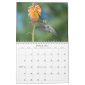 Kalender voor Hummingbird 2014 (Mar 2027)
