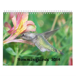 Kalender voor Hummingbird 2014