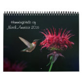 Kalender voor Hummingbird 2016 (Hoes)