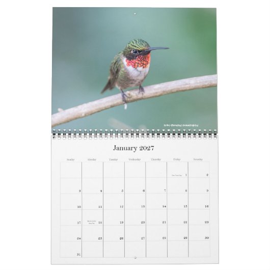 Kalender voor Hummingbird 2016 (Jan 2027)