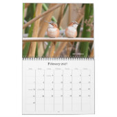 Kalender voor Hummingbird 2016 (Feb 2027)