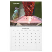 Kalender voor Hummingbird 2016 (Mar 2026)