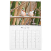 Kalender voor Hummingbird 2016 (Feb 2026)
