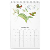 Kalender voor Hummingbird Birds Flower Animal 2019 (Feb 2026)