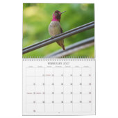 Kalender voor Hummingvogels 2015 (Feb 2027)