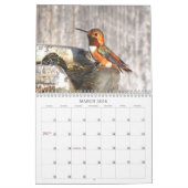 Kalender voor Hummingvogels 2015 (Mar 2026)