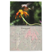 Kalender voor Hummingvogels en Butterflies 2019 20 (Feb 2026)