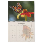 Kalender voor Hummingvogels en Butterflies 2019 20 (Jan 2026)