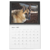 Kalender voor katten en honden (Mar 2027)