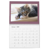 Kalender voor katten en honden (Jan 2027)