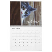 Kalender voor katten en kittens 2015 (Mar 2027)