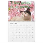Kalender voor katten en kittens 2015 (Jan 2027)