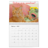 Kalender voor katten en kittens 2015 (Feb 2027)