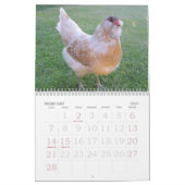 Kalender voor kippen (Feb 2027)