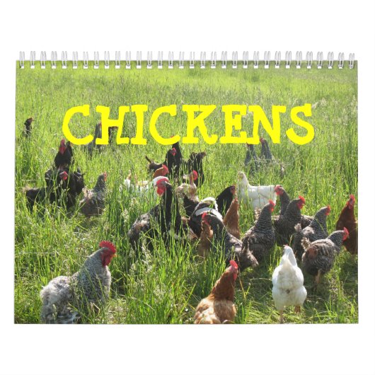 Kalender voor kippen (Hoes)