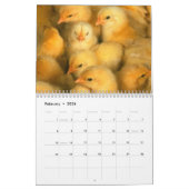 Kalender voor kippen 2011 (Feb 2026)