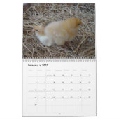 Kalender voor kippen en roosters (Feb 2027)