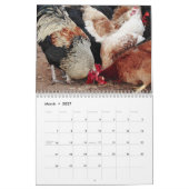 Kalender voor kippen en roosters (Mar 2027)