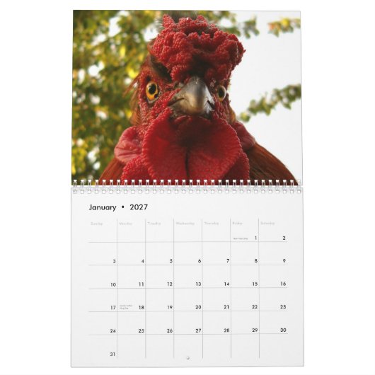 Kalender voor kippen en roosters (Jan 2027)