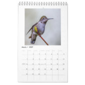 Kalender voor kleine Hummingbird (Mar 2027)