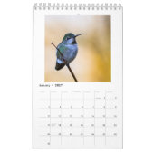 Kalender voor kleine Hummingbird (Jan 2027)